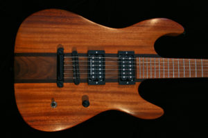 The Endangered Alphabets Guitar